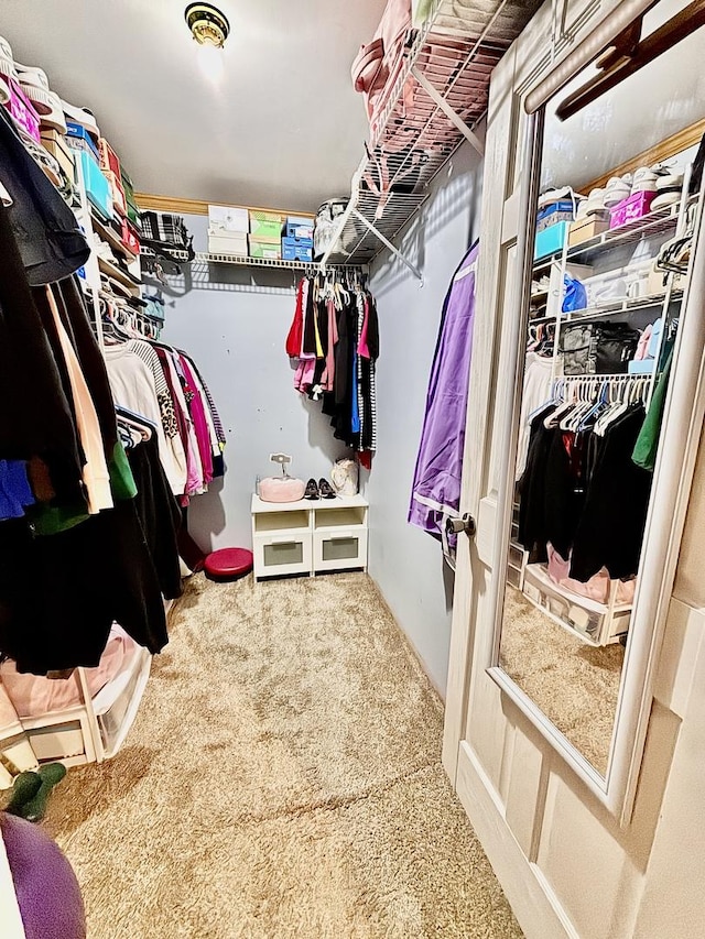 826 Dartmoor Dr, Crystal Lake, IL 60014 - walk in closet featuring carpet floors
