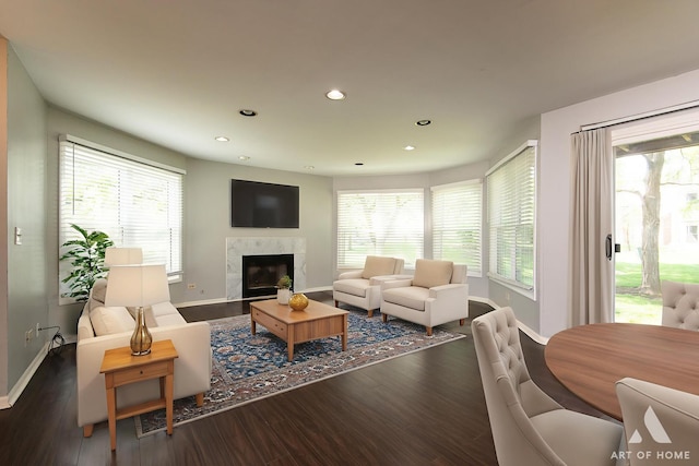 10921 S Hermosa Ave, Chicago, IL 60643 - living area with baseboards, wood finished floors, recessed lighting, and a fireplace