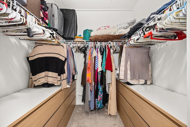8340 Callie Ave Unit 506, Morton Grove, IL 60053 - view of spacious closet