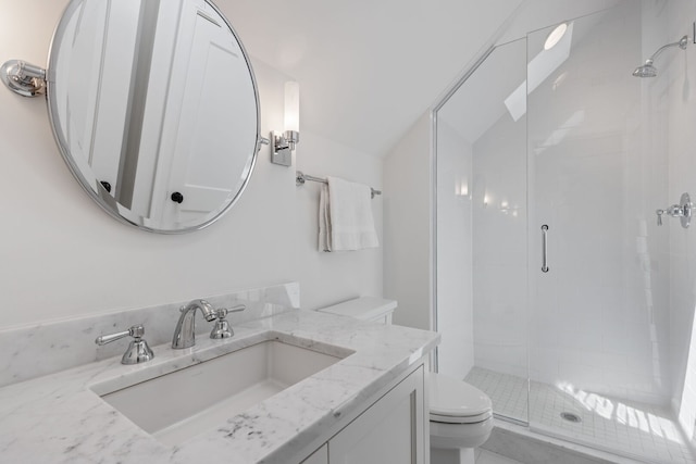 622 S Washington St, Hinsdale, IL 60521 - full bath with a stall shower, vanity, and vaulted ceiling