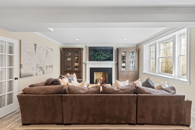 622 S Washington St, Hinsdale, IL 60521 - living room featuring crown molding, a warm lit fireplace, light wood-type flooring, and recessed lighting