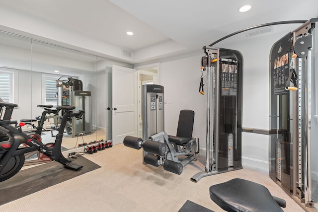 622 S Washington St, Hinsdale, IL 60521 - exercise room with recessed lighting and carpet flooring