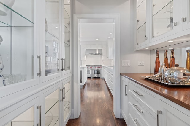 622 S Washington St, Hinsdale, IL 60521 - bar with under cabinet range hood, range with two ovens, dark wood-style floors, and backsplash