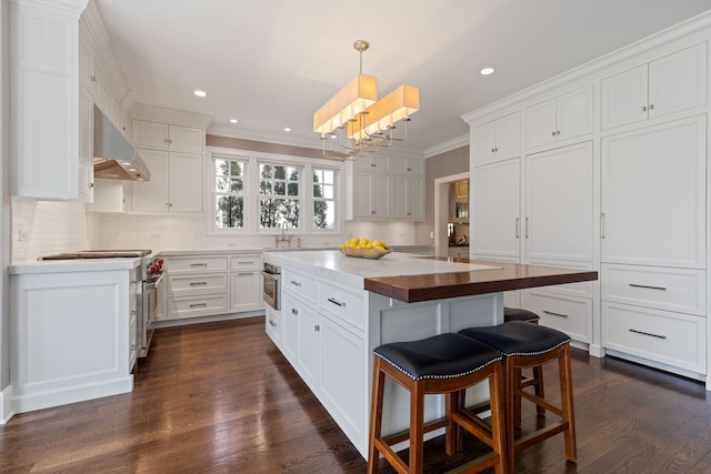 622 S Washington St, Hinsdale, IL 60521 - kitchen featuring under cabinet range hood, crown molding, stainless steel appliances, white cabinetry, and recessed lighting