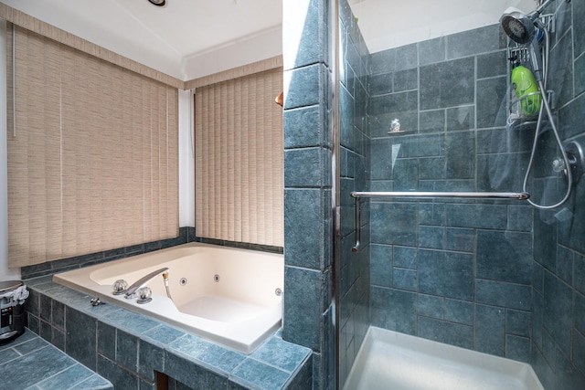25429 W Cedar Crest Ln, Lake Villa, IL 60046 - bathroom featuring a stall shower and a jetted tub
