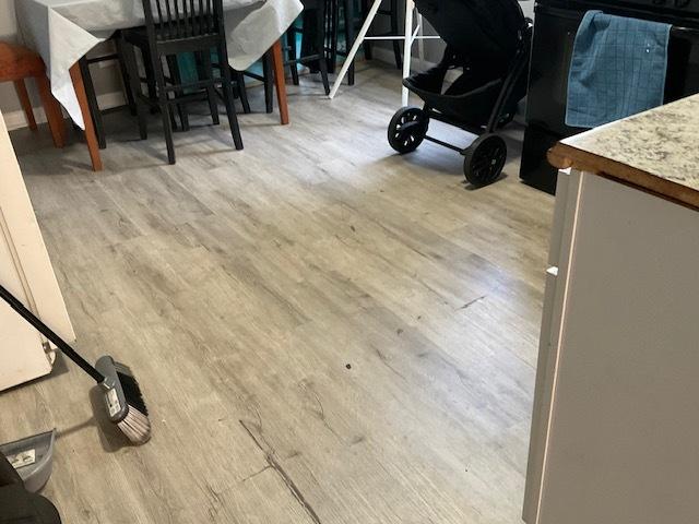 8205 S Houston Ave, Chicago, IL 60617 - detailed view of wood finished floors and range