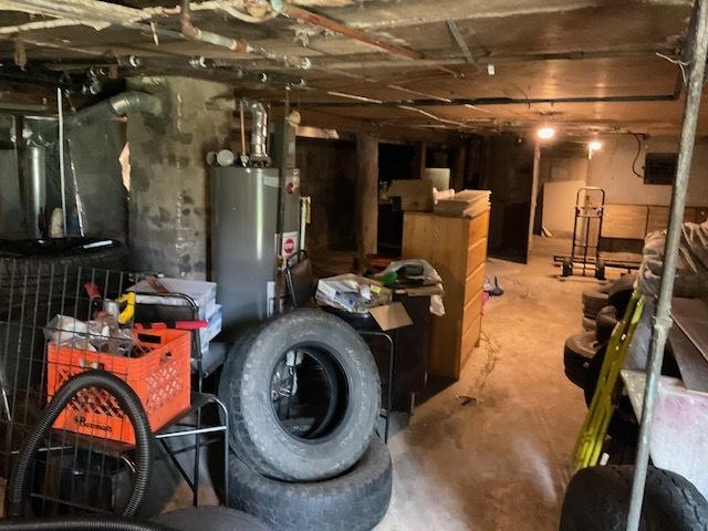 8205 S Houston Ave, Chicago, IL 60617 - unfinished below grade area with water heater