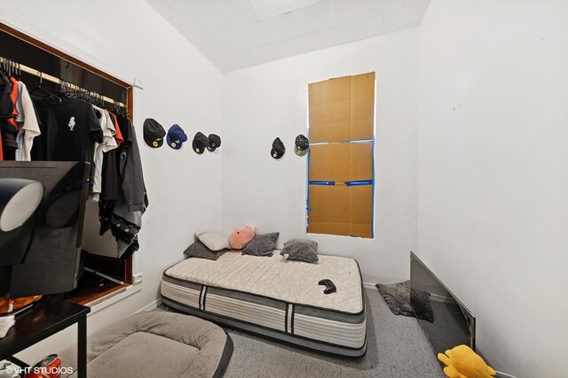2625 S Drake Ave, Chicago, IL 60623 - spacious closet with carpet and vaulted ceiling