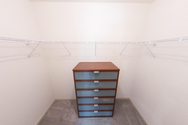 1034 Idaho St, Carol Stream, IL 60188 - walk in closet with carpet floors