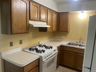 10936 S Keating Ave Unit 3C, Oak Lawn, IL 60453 - kitchen featuring under cabinet range hood, white gas range, freestanding refrigerator, a sink, and light countertops