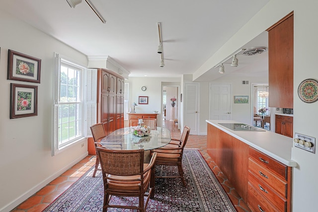 1596 W Palatine Rd, Inverness, IL 60067 - dining room featuring track lighting, plenty of natural light, and light tile patterned floors