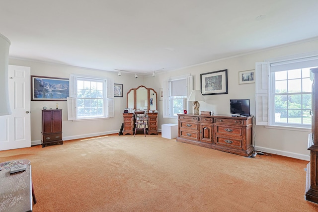 1596 W Palatine Rd, Inverness, IL 60067 - sitting room with carpet flooring, plenty of natural light, ornamental molding, and rail lighting