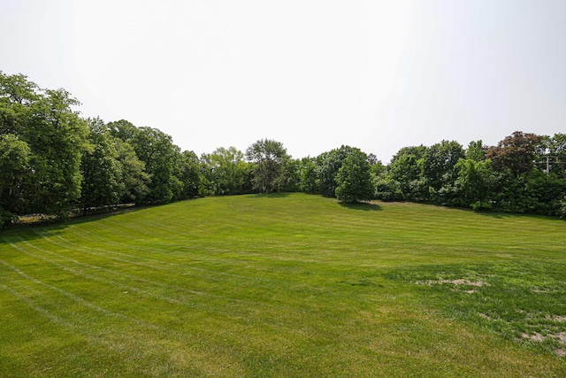 1596 W Palatine Rd, Inverness, IL 60067 - view of grassy yard