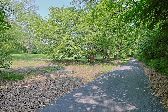 1596 W Palatine Rd, Inverness, IL 60067 - view of street