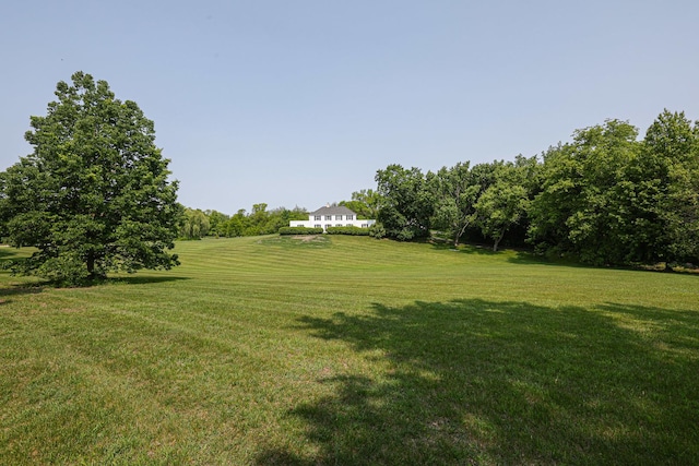 1596 W Palatine Rd, Inverness, IL 60067 - view of green lawn