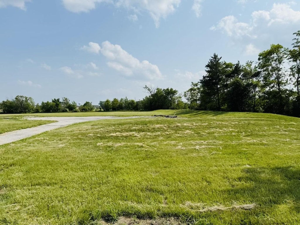19501 S Torrence Ave, Lynwood, IL 60411 - photo 1