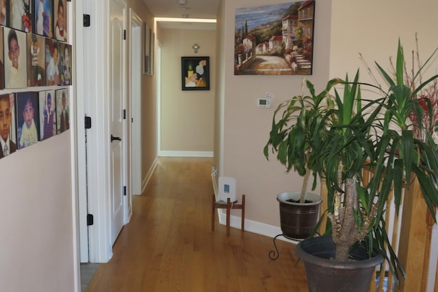 7151 Church St, Morton Grove, IL 60053 - photo 28