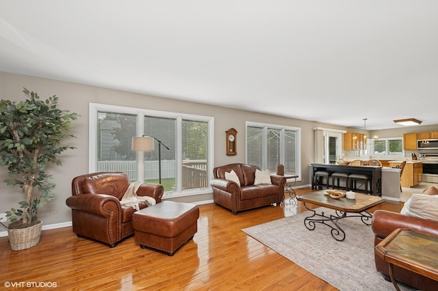 1370 Glacier Pkwy, Algonquin, IL 60102 - living room featuring light wood-style floors