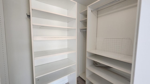 405 N Wabash Ave Unit 102, Chicago, IL 60611 - view of spacious closet