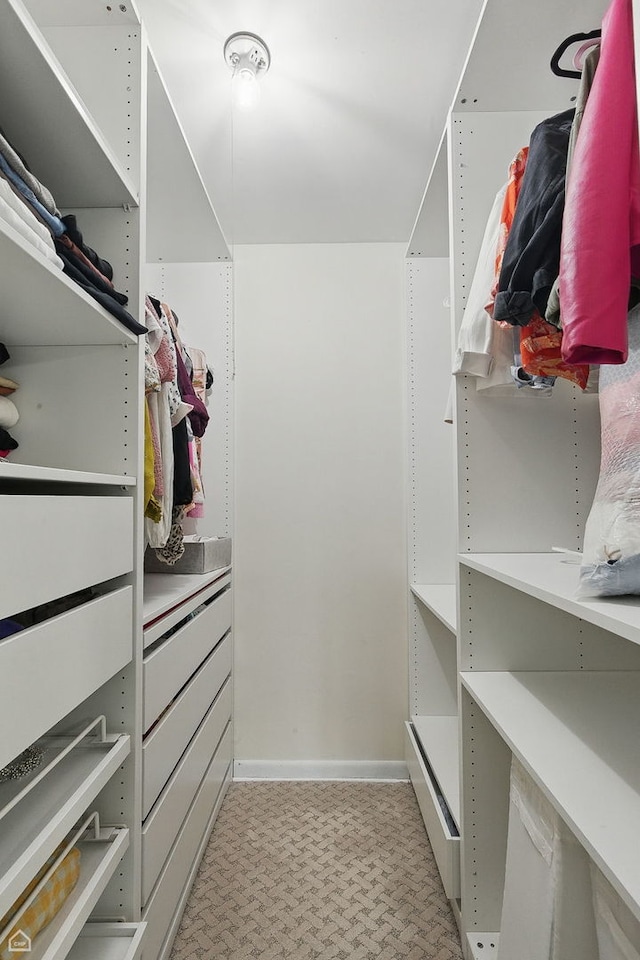 421 Pintail Ln, Deerfield, IL 60015 - walk in closet with light flooring