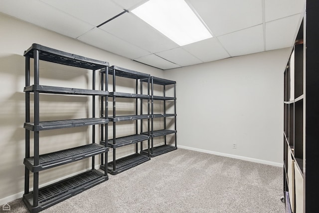 421 Pintail Ln, Deerfield, IL 60015 - view of storage room