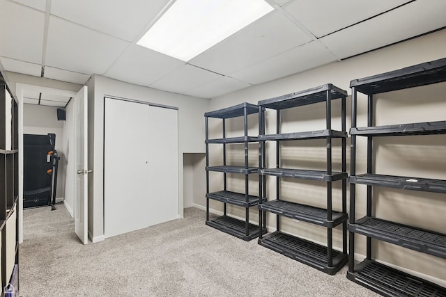 421 Pintail Ln, Deerfield, IL 60015 - view of storage