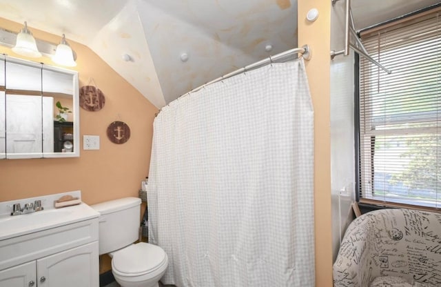 3102 Edina Blvd, Zion, IL 60099 - bathroom featuring vanity, lofted ceiling, and curtained shower