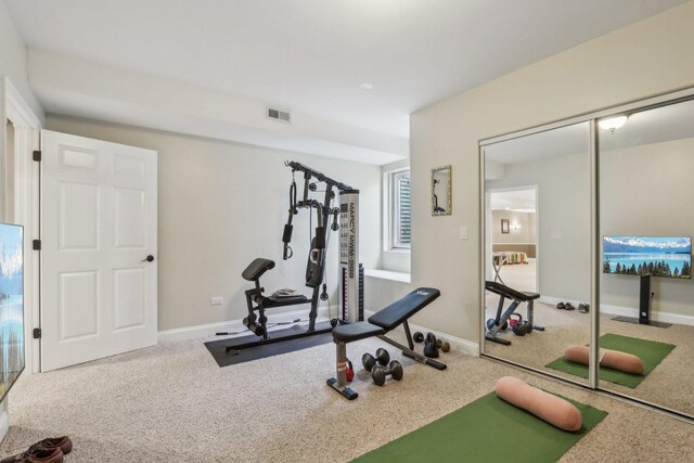 24 Wood Oaks Dr, South Barrington, IL 60010 - workout room featuring carpet flooring and baseboards