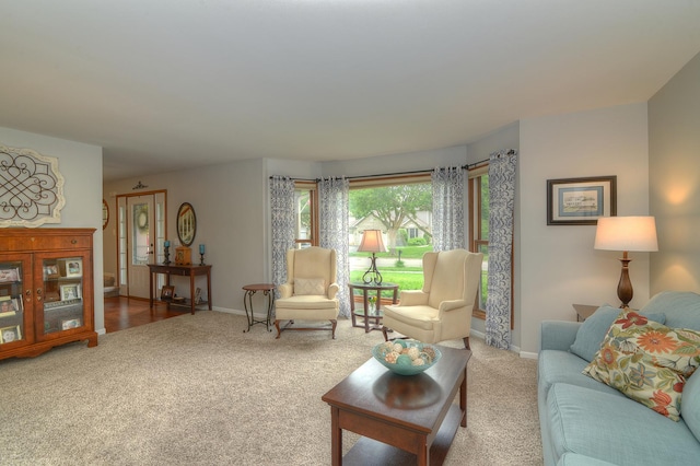 1344 Saddlebrook Rd, Bartlett, IL 60103 - living room featuring carpet