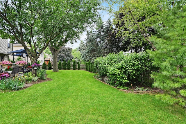 1344 Saddlebrook Rd, Bartlett, IL 60103 - view of yard