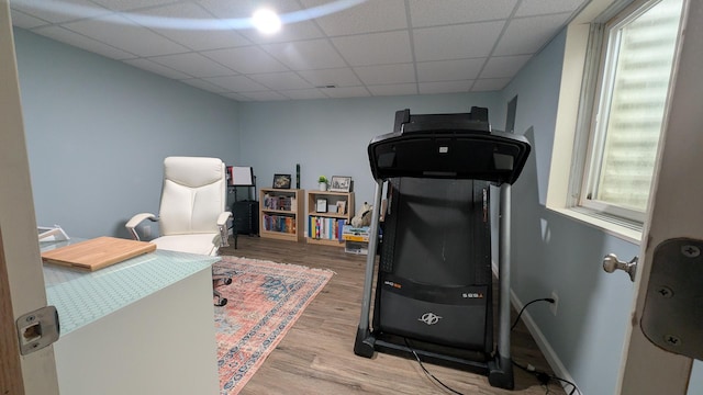 3908 Summer Sage Ct, Champaign, IL 61822 - office with wood finished floors, plenty of natural light, and a drop ceiling
