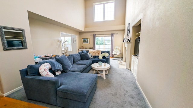 3908 Summer Sage Ct, Champaign, IL 61822 - living area with a high ceiling and carpet flooring