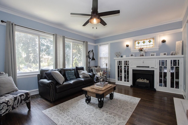 5236 W Nelson St, Chicago, IL 60641 - living room featuring ceiling fan, dark wood-style floors, a fireplace with raised hearth, and ornamental molding