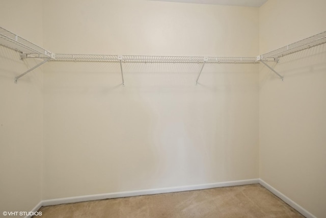 218 E Forest Knoll Dr, Palatine, IL 60074 - spacious closet featuring light colored carpet