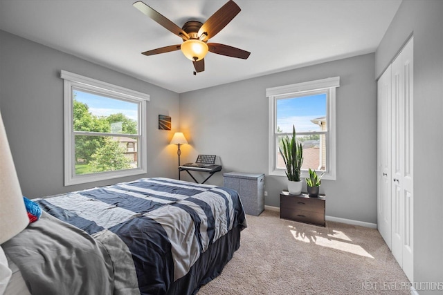 1035 Warwick Cir N, Hoffman Estates, IL 60169 - bedroom with multiple windows, carpet flooring, a ceiling fan, and a closet