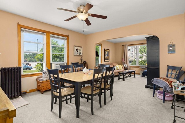 415 Fremont St, Lemont, IL 60439 - dining space featuring arched walkways, plenty of natural light, and light colored carpet