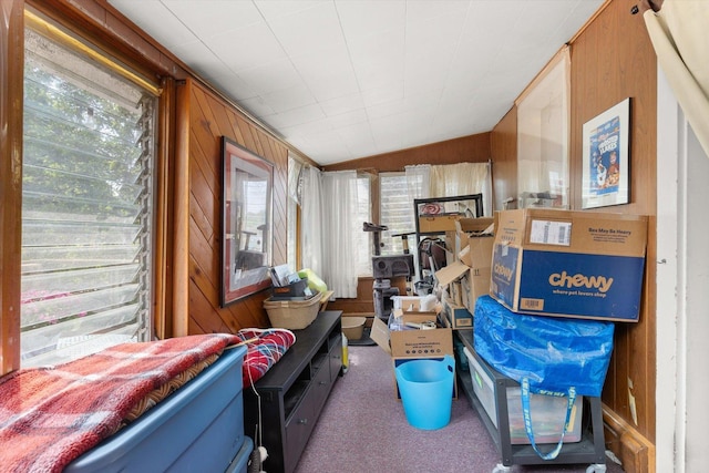 415 Fremont St, Lemont, IL 60439 - view of storage area