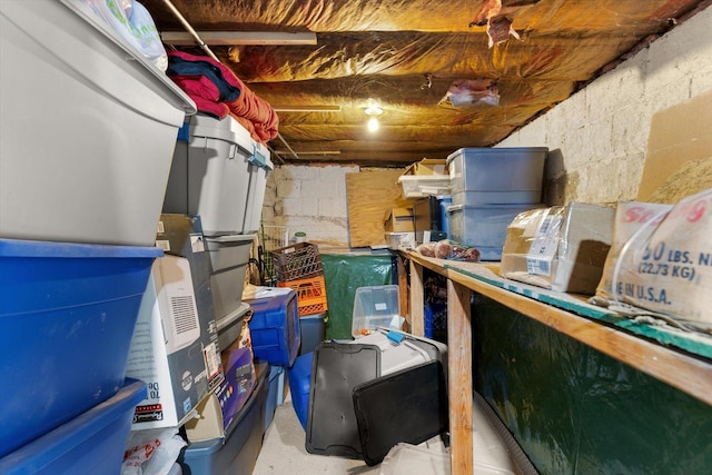 415 Fremont St, Lemont, IL 60439 - view of storage room
