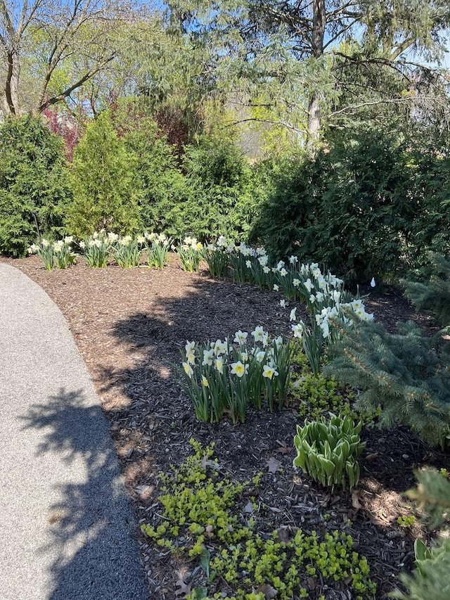 400 Saint Andrews Ln, Gurnee, IL 60031 - view of yard