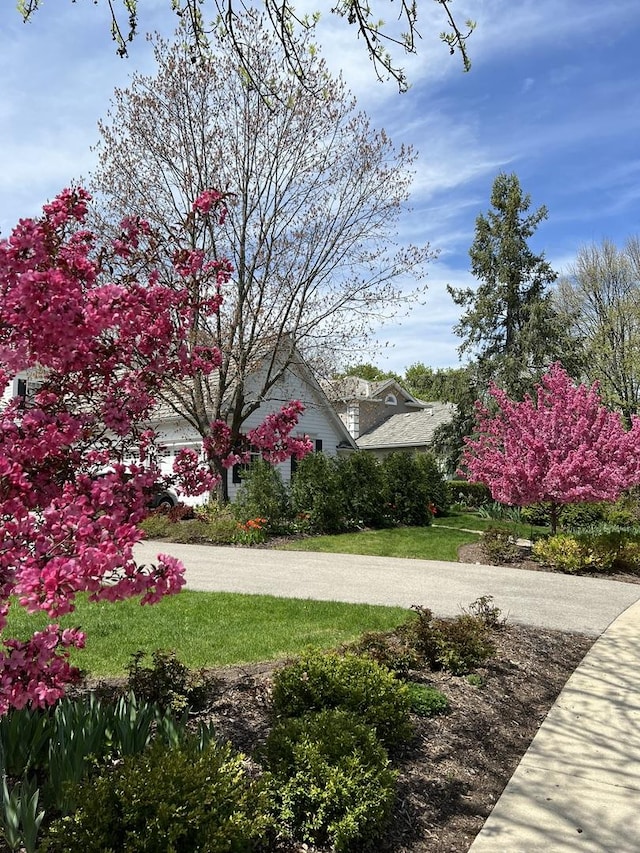 400 Saint Andrews Ln, Gurnee, IL 60031 - view of yard