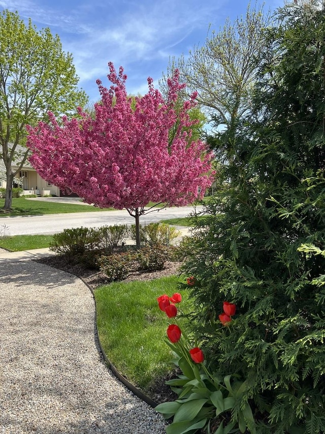 400 Saint Andrews Ln, Gurnee, IL 60031 - view of yard