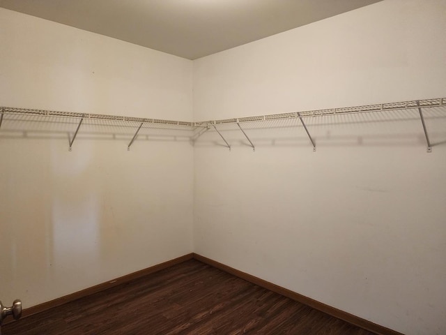 609 Flanagan Dr, Minooka, IL 60447 - walk in closet with dark wood finished floors