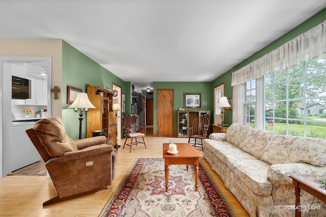 23551 W Winston Ave, Plainfield, IL 60586 - living room featuring light wood finished floors