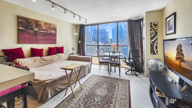 405 N Wabash Ave Unit 2809, Chicago, IL 60611 - carpeted living room featuring a wall of windows, a textured ceiling, and rail lighting