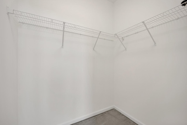 1255 S State St Unit 1704, Chicago, IL 60605 - spacious closet featuring light colored carpet