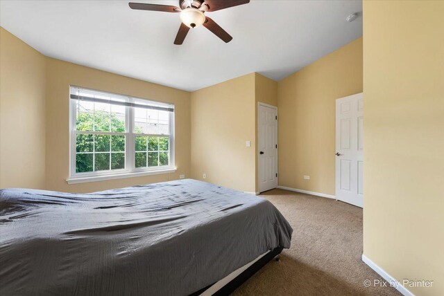 34410 N Barberry Ct, Round Lake, IL 60073 - photo 16