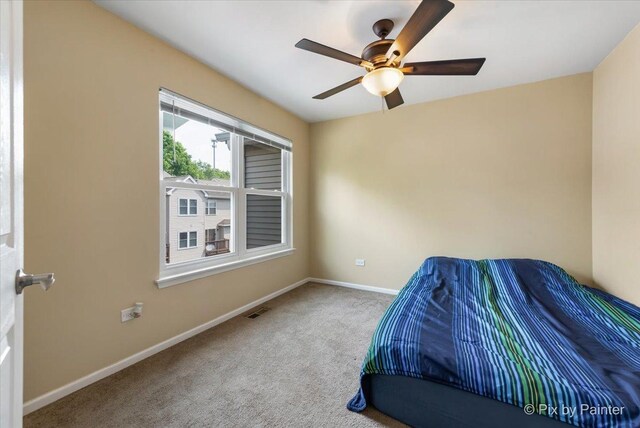 34410 N Barberry Ct, Round Lake, IL 60073 - photo 19