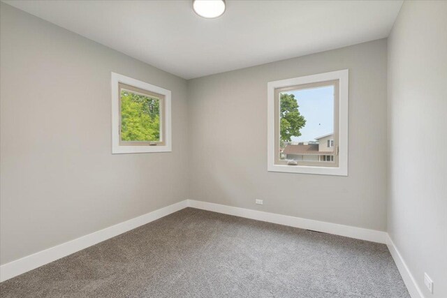 919 E Cooper Dr, Palatine, IL 60074 - empty room with healthy amount of natural light and carpet