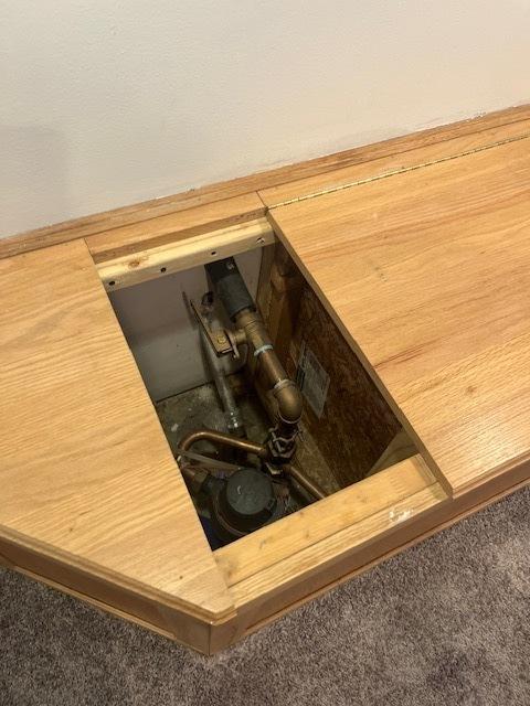 6111 S Menard Ave, Chicago, IL 60638 - detailed view of carpet