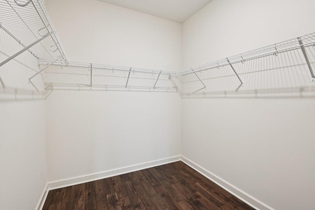1518 128th St, Lemont, IL 60439 - walk in closet with dark wood-style floors